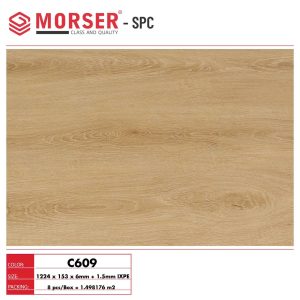 Sàn nhựa hèm khóa Morser C609