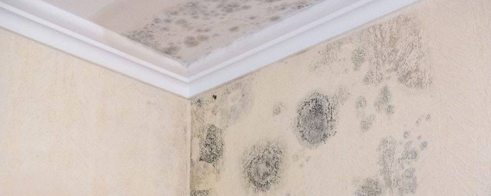 Tường nứt là dấu hiệu cần sửa chữa nhà